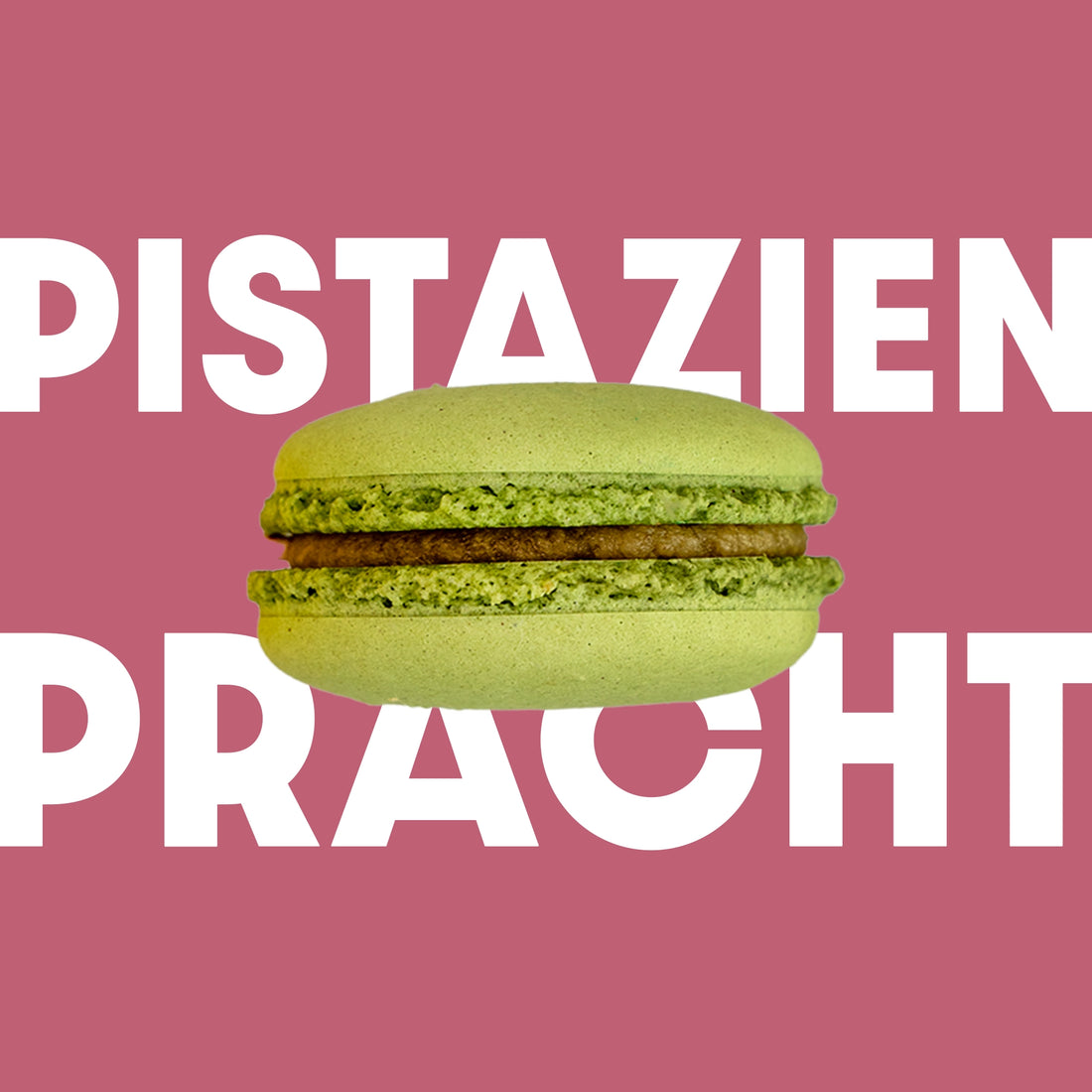 Macaron Pistazie